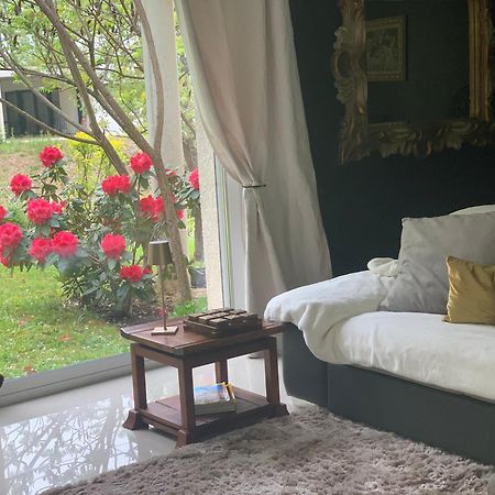 La Maison D'Isabel Montauban Eksteriør billede