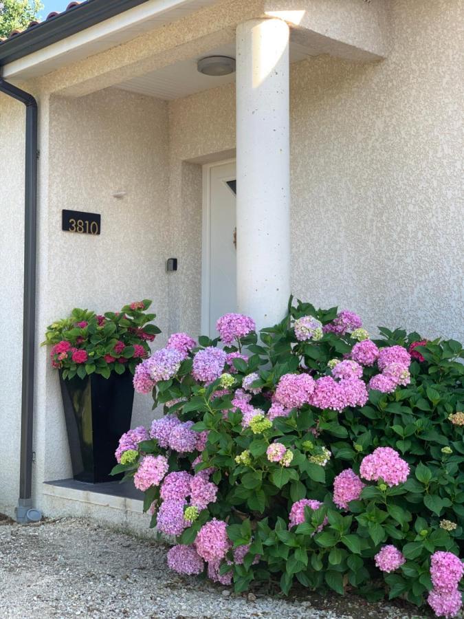 La Maison D'Isabel Montauban Eksteriør billede